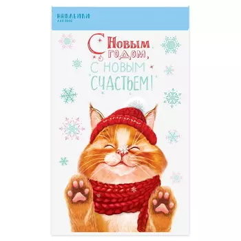 Наклейки на стекло «Новогодний котик», 20 34 см