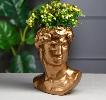 Органайзер-кашпо фигурное Голова Давида 26 см золотистый