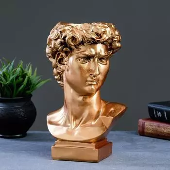 Органайзер-кашпо фигурное Голова Давида, цвет бронзовый