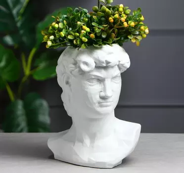 Органайзер-кашпо "Голова Давида", белый, 26 см