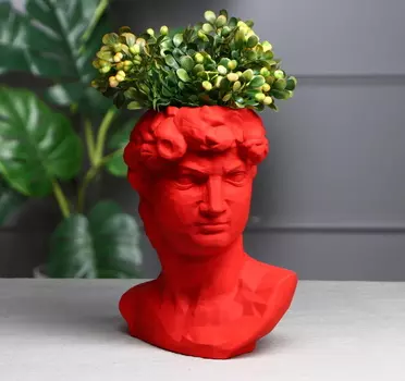 Органайзер-кашпо фигурное Голова Давида 26 см красный