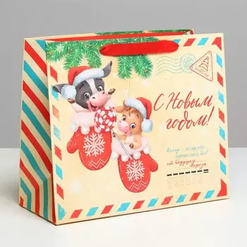 Пакет ламинированный горизонтальный «письмо от дедушки мороза» 27 23 11,5 см