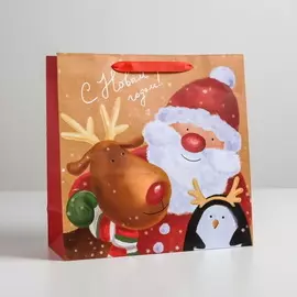 Пакет ламинированный квадратный Дед Мороз, Олень, Пингвин «С Новым годом», 30 30 12 см