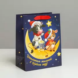 Пакет ламинированный вертикальный «Исполнения желаний», 18 23 10 см