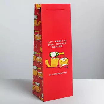 Пакет под бутылку крафтовый Прикольный Кот «пусть год будет наполен» Красный