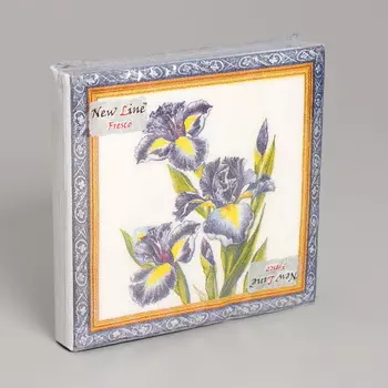 Салфетка бумажные Ирис 2-слоя 20 листов 33*33