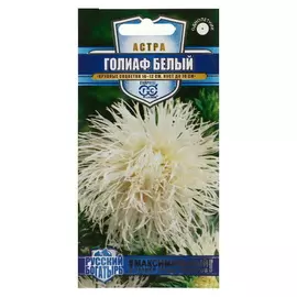 Семена цветов Астра Голиаф белый, однолетняя, серия Русский богатырь, 5 упаковок