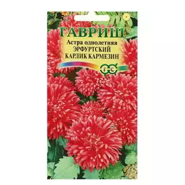 Семена цветов Астра Эрфуртский карлик Кармезин, однолетняя, красная, 5 упаковок