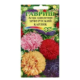 Семена цветов Астра Эрфуртский карлик, однолетняя, смесь, 5 упаковок