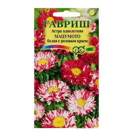 Семена цветов Астра Мацумото белая с розовым краем, однолетняя, 5 упаковок