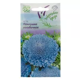 Семена цветов Астра Пампушка голубичная, помпонная, 5 упаковок