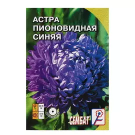 Семена цветов Астра пионовидная, синяя, 5 упаковок