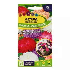 Семена цветов Астра Тысяча чудес, карликовая, смесь, 5 упаковок