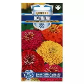 Семена цветов Цинния Великан, смесь, серия Русский богатырь, 5 упаковок