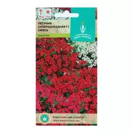 Семена цветов Петуния Суперкаскадная F1, крупноцветковая, 5 упаковок (50 семян)