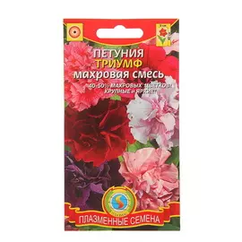 Семена цветов Петуния Триумф, 5 упаковок
