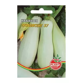 Семена Кабачок Грибовский, 5 упаковок (40 семян)