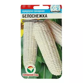 Семена Кукуруза Белоснежка, 4 упаковки (40 семян)