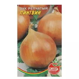 Семена Лук Пингвин, 5 упаковок