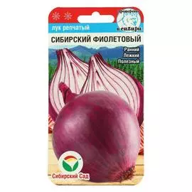 Семена Лук Сибирский фиолетовый, 3 упаковки