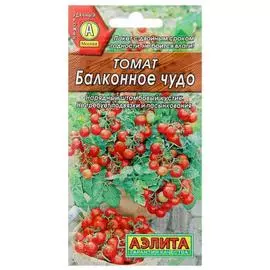 Семена Томат Балконное чудо, Сверхранний, 2 упаковки