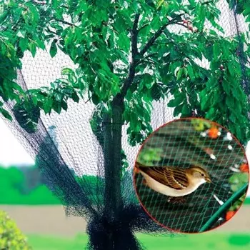 Сетка от птиц для защиты деревьев, ягод и овощей 2 10 м, ячейка 0.60.6 см, зелёная