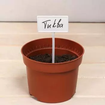 Таблички ярлыки садовые для маркировки растений, 13 см, набор 8 шт., пластик