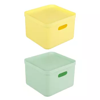 BEROSSI Органайзер с крышкой для хранения Pako Plaza, 200х200х138мм, 2 цвета