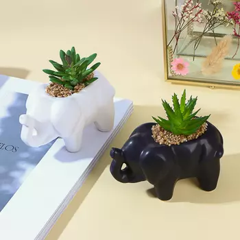 Цветочная композиция, суккуленты в кашпо, пластик, керамика, 11x7x10 см, 2 цвета, арт.63