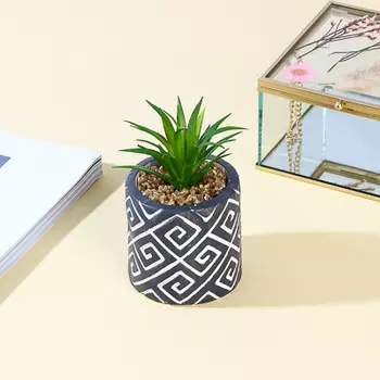 Цветочная композиция, суккуленты в кашпо, пластик, керамика, 7x7x10 см, арт.78