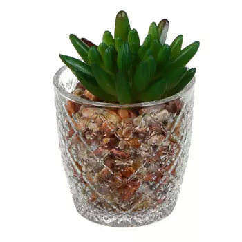 Цветочная композиция, суккуленты в кашпо, пластик, керамика, 7x7x13 см, арт.73