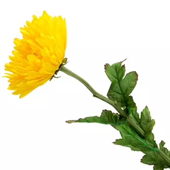 Цветок искусственный "Хризантема желтая" 73см, пластик, полиэстер