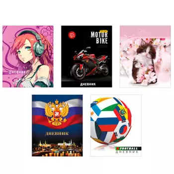 Дневник школьный для старших классов, 40л., гибкая интегральная обложка, блок офсет 60 г\м2, 5 диз.