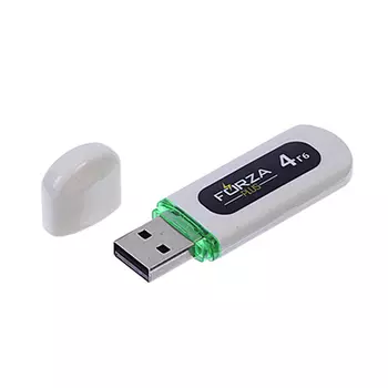 FORZA Флеш-карта, 4 гб