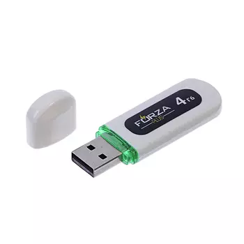 FORZA Флеш-карта, 4 гб