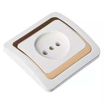 FORZA Золотая коллекция Розетка одномест, без заземл,бел с золот. вставкой 16А 250В, огнеуп. пластик