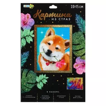 ХОББИХИТ Картина из страз, комплект (стразы, палочка, основа), 20х15см, 10 дизайнов