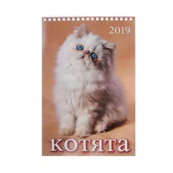 Календарь настенный перекидной, "Котята", 17х25 см