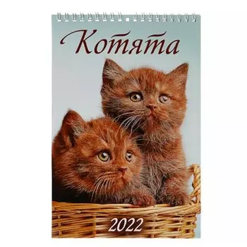 Календарь настенный перекидной, "Котята", бумага, 17х25см, 2021