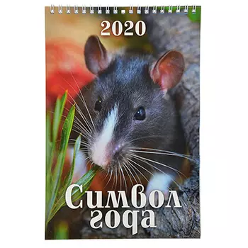 Календарь настенный перекидной, "Символ года. Вид 1", бумага, 17х25 см