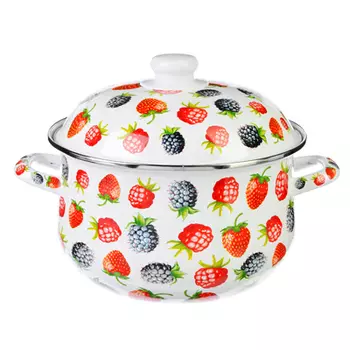 Кастрюля 5,0 л VETTA Джем, эмалированная, индукция