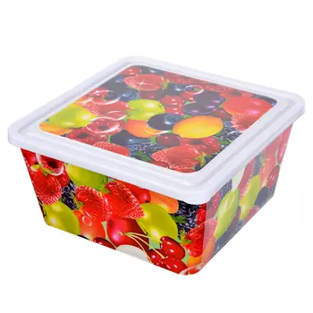 Контейнер с крышкой 3,0 л, пластик, 21х21 см