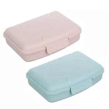 Ланчбокс 0,42л, пластик, 2 цвета