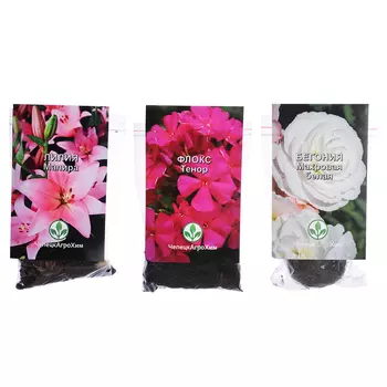 Луковица лилии/бегонии/флокса