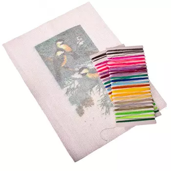 Набор для вышивки 20х28см "Птицы на ветке" (канва, нитки мулине, игла)