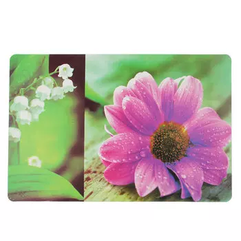 Набор салфеток 4шт, пластик, 43x28см, "Природа"