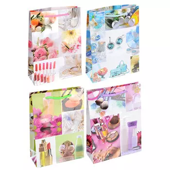 Пакет подарочный, 18х24х7 см, 4 дизайна, арт 138