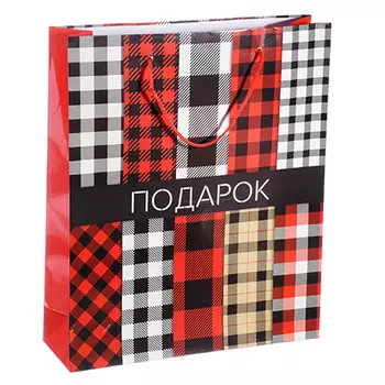 Пакет подарочный бумажный, 28х33,5х8,5см, 6 дизайнов, GC, арт ДХ