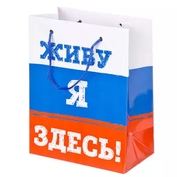 Пакет подарочный бумажный "Приколы", 23х18х10см Дизайн GC