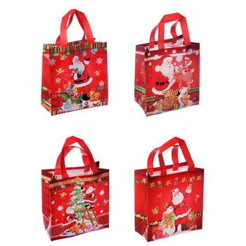 Пакет подарочный СНОУ БУМ 22х23х11 см, полиэстер, 4 дизайна, арт 2